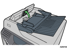 detail illustration