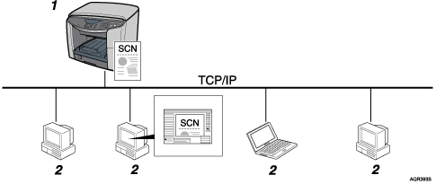 layout