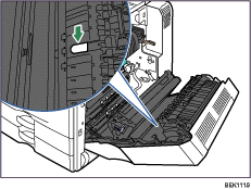 Interior illustration