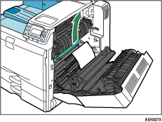 Illustrazione dell'interno
