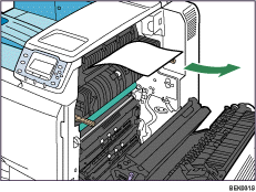 Illustrazione dell'interno