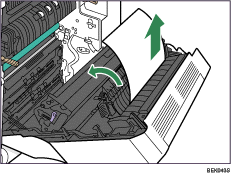 Illustrazione dell'interno