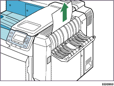 Ilustración del interior
