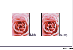 Illustrasjon av justering av bildekvaliteter