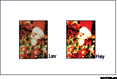 Illustrasjon av justering av bildekvaliteter