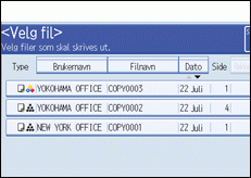 Illustrasjon av skjermen på brukerpanelet.