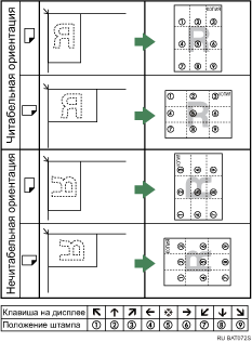 Изображение расположения штампа