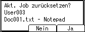 Die Abbildung zeigt die Bedienfeldanzeige