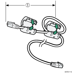 illustration of Ethernet cable with ferrite core